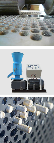 原（yuán）料通過高溫,在壓輥和模盤的擠壓下,通過模盤上的孔,優質成型的顆粒從出料鬥（dòu）滾（gǔn）動而出