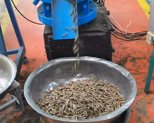 自製小型羊飼料顆粒機加工視頻