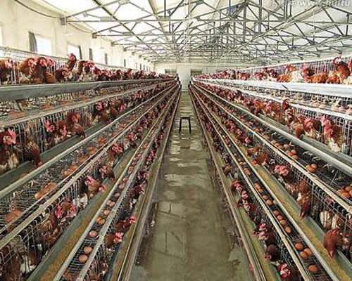 北（běi）京客戶訂購吉（jí）姆克小型飼料攪拌機案例