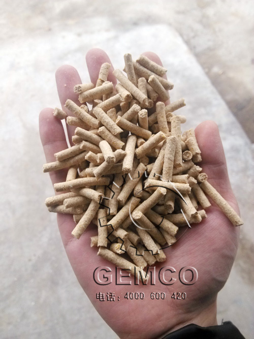 客戶使用草莓视频官网260型顆粒飼料機製粒效果