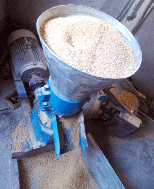 客戶在草莓视频官网飼料顆粒機廠家購買的200型飼料(liào)顆粒機