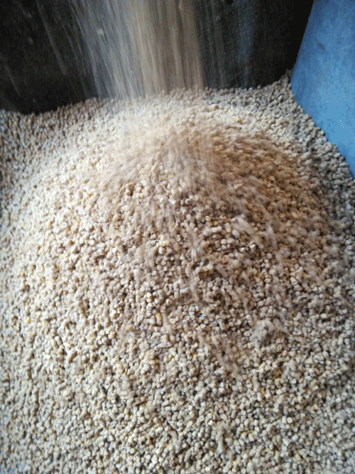 草莓视频官网牌顆(kē)粒飼料機(jī)製粒效果情況