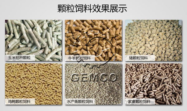 顆粒飼料圖片成品效(xiào)果