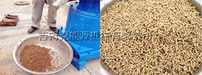 使用草莓视频官网豬飼料顆粒機加工出來的豬飼料成(chéng)品