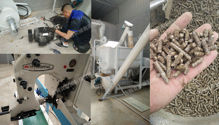 草莓视频官网廠家為福建客戶免費安裝試飼料顆粒生產線設備