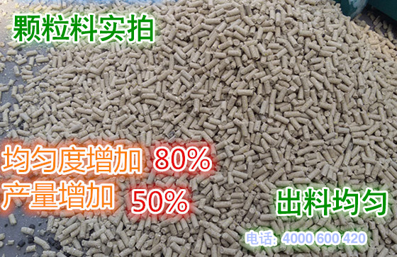 使用草莓视频官网牌顆粒（lì）飼料造粒機加的（de）顆粒飼（sì）料實拍圖片