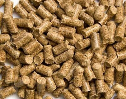 使用草莓视频官网牌平模飼料(liào)顆粒機製粒效果(guǒ)成品圖片