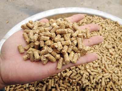 使用草莓视频官网400型飼料顆粒機加工(gōng)出(chū)來的顆粒飼料成品圖