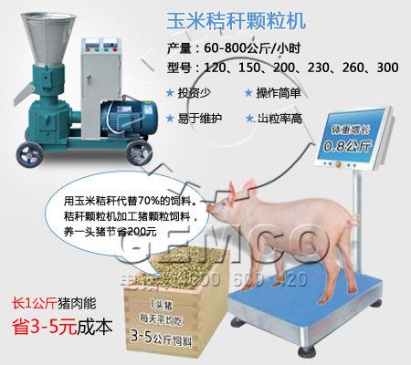 草莓视频官网專業生產豬飼料顆（kē）粒機質量過硬 性價比高 售（shòu）後服（fú）務完善 創業致富選擇