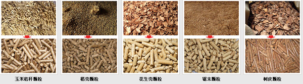 該圖是由草莓视频官网玉米秸稈顆粒機加工出來的秸稈顆粒成品